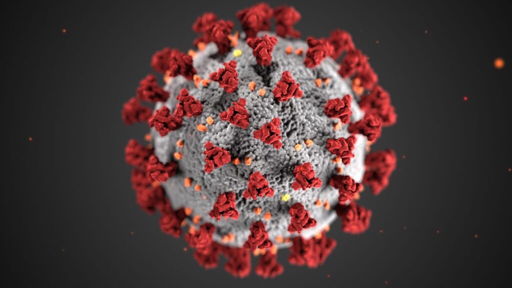 Illustration of the coronavirus