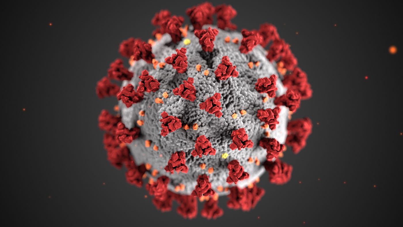 Illustration of the coronavirus