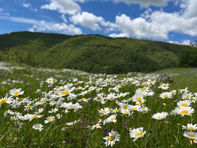 HELLO SPRING!!!