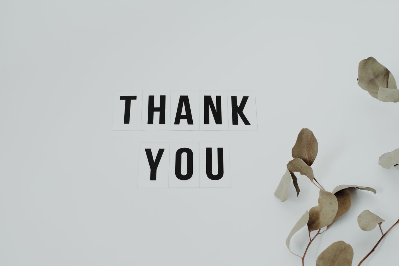 Handwritten thank you note with eucalyptus leaves